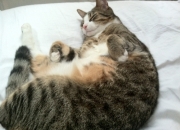 雷火电竞网站-这就是足球，久保建英的亚洲星光与曼联的苏格兰寒夜