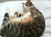 雷火电竞网站-这就是足球，久保建英的亚洲星光与曼联的苏格兰寒夜