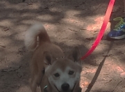 雷火电竞简介-当星轨偏折，李刚仁49秒改写尼斯与毕尔巴鄂的命运脚本