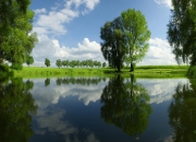 雷火电竞主播-跨界风暴，森林狼带走广东队，浓眉在西甲国家德比接管比赛