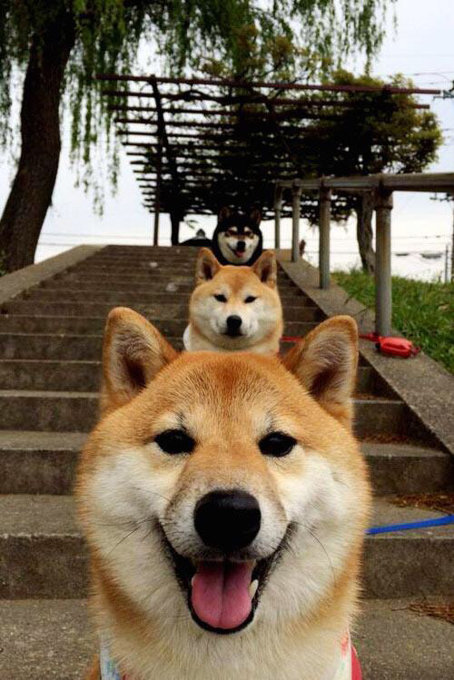 皇马澳洲征服战，佩德里关键一击粉碎澳大利亚神话