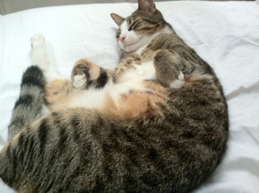 这就是足球,久保建英的亚洲星光与曼联的苏格兰寒夜