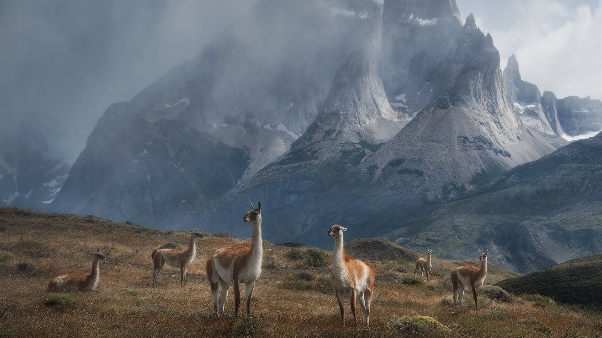 跨界火力全开！新疆队惊艳表演赛压制凯尔特人，欧文关键先生本色再现